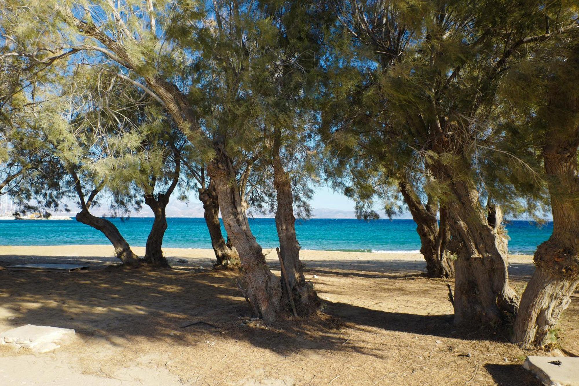 Casa Maia Διαμέρισμα Πάρος Εξωτερικό φωτογραφία